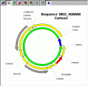 Circular/linear sequence editor